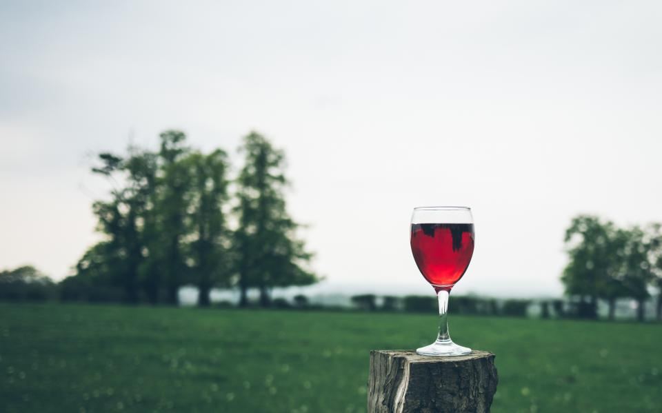 Copa de vino tinto en el campo